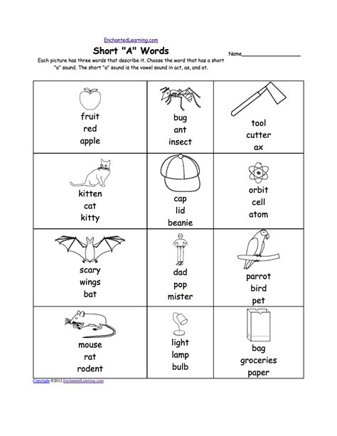 Phonics Worksheets Multiple Choice Worksheets To Print