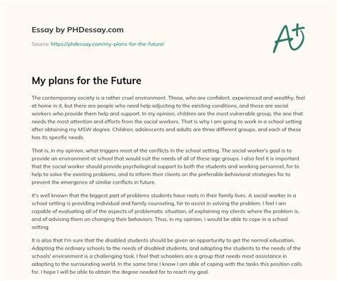 My Plans For The Future PHDessay Com