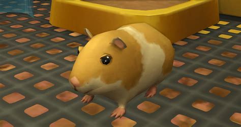 Sims 4 Hamster Rsims4