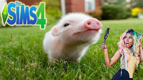 Mom Plays The Sims 4 Nicki Minaj Has A Pig Baby Youtube