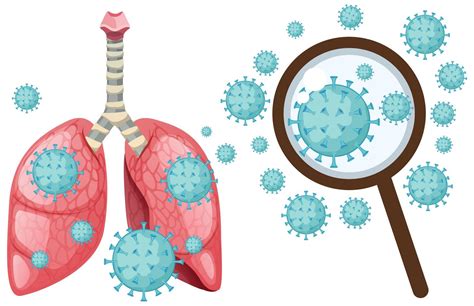 Coronavirus Cell In Human Lungs 1155907 Vector Art At Vecteezy
