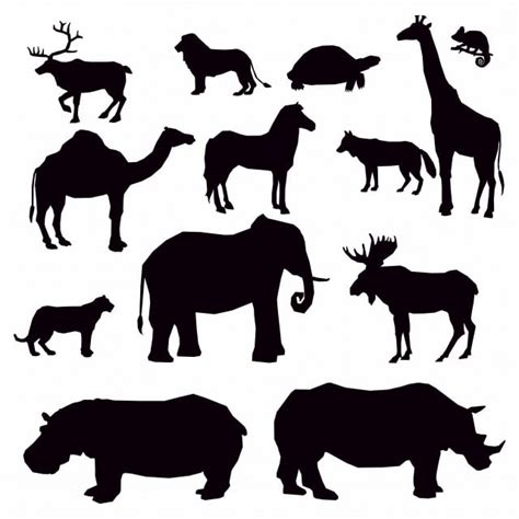 Siluetas Negras De Animales Africanos Sobre Fondo Blanco Rey León