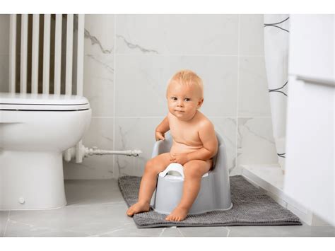 Potty Training Your Toddler When To Start And What To Expect