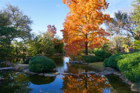 Where To Find Fall Foliage And Fall Colors In Dallas Fort Worth • Outside