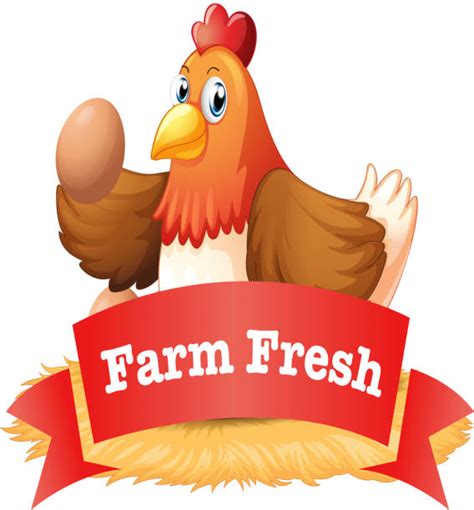 Best Farm Fresh Eggs Illustrations Royalty Free Vector Graphics And Clip
