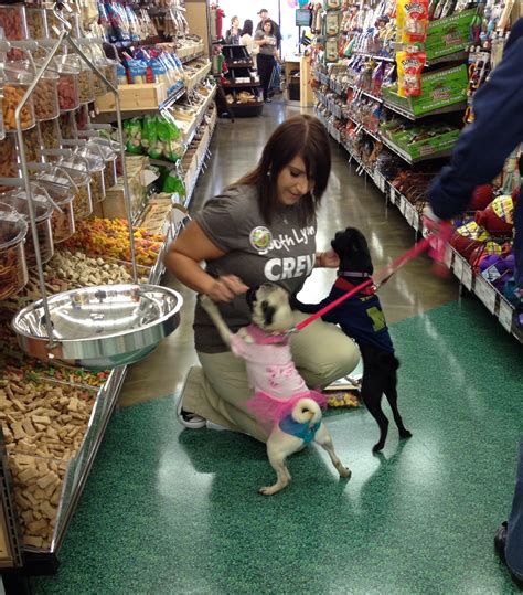 Maybe you would like to learn more about one of these? Retail Wrap: Pet Supplies Plus, Burlington, Costco open ...