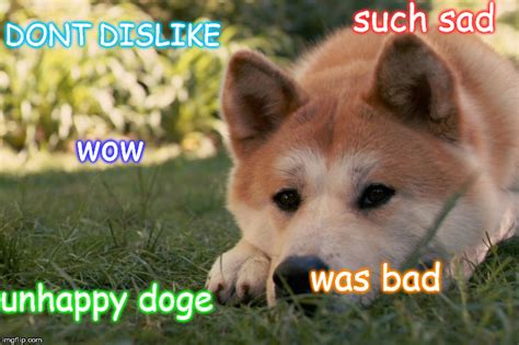 Doge represents the slang form of the word dog. sad doge :[ - Imgflip