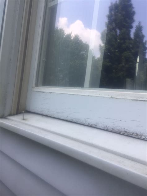 How to clean windows with vinegar. Clean Window Sills, Home in Emmaus | Zavecz Window Cleaning