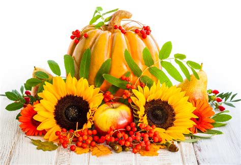 Autumn Harvest Pumpkin Sunflower Fruits Apples Pear