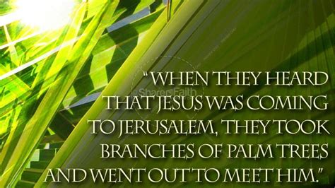 Palm Sunday Wallpapers Top Free Palm Sunday Backgrounds Wallpaperaccess