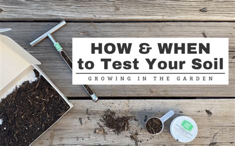 Soil Testing When And How To Test Your Soil Growing In The Garden