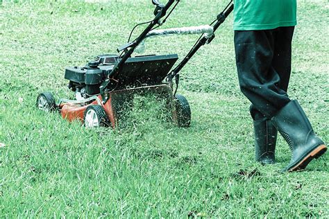 How To Help Your Grass Look Great Through The Wyoming Summer