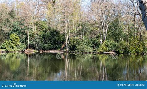 Pear Lake Fishing Lake Surrounded By Trees In Stanmore North West