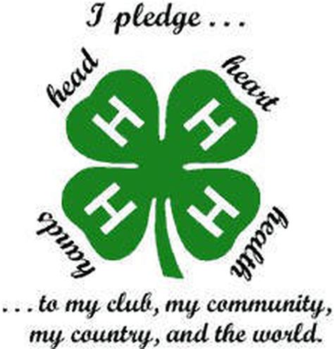 4 H Announces Paper Clover Campaign To Raise Funds For Local Clubs