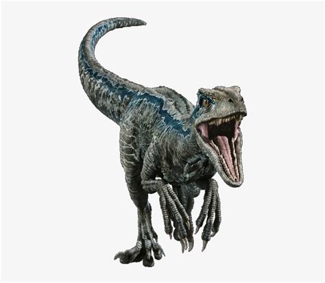 Top 190 Imágenes Del Velociraptor Blue Destinomexicomx