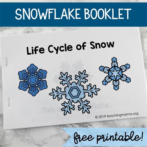 Life Cycle Of Snowflakes Booklet Winter Classroom Winter Preschool