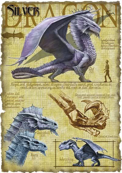 Metallic Dragons Forgotten Realms Cormyr