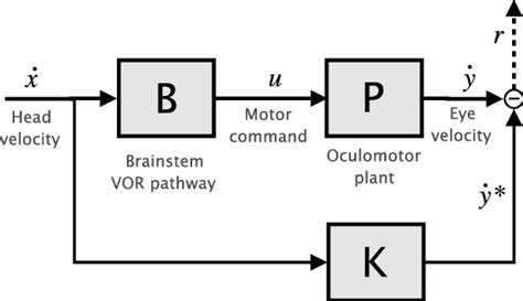 Basic Framework Of The Vor Model Download Scientific Diagram