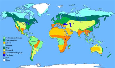 Une Abondance De Biomes Asu Ask A Biologist