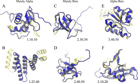 Examples Of Cath Domain Matches For Sproteins Two Representative