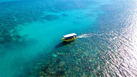 Glass Bottom Boat Tour 70 Minutes Airlie Beach Adrenaline