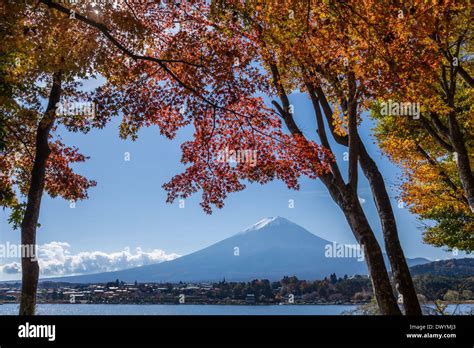 Autumn View Of Mount Fuji Japan Stock Photo Alamy