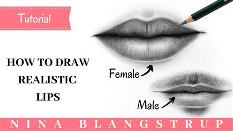 How To Draw Realistic Lips Male And Female Mouth Youtube