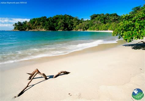 Manuel Antonio Costa Rica Beach And National Park In Quepos