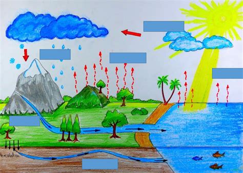 Water Cycle Weather Climate Diagram Quizlet