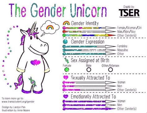 Gender Unicorn Lgbt Amino