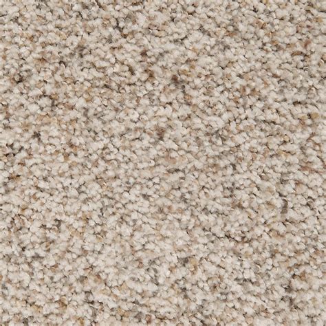 Save up to 30% to 50%. Mohawk Carpet Sample - Riley I - Color Memoir Textured 8 ...