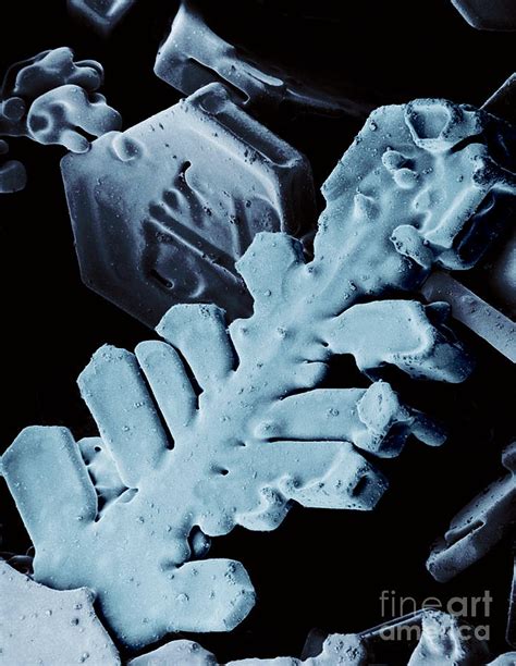 Snow Crystal Photograph By Electron And Confocal Microscopy Laboratory