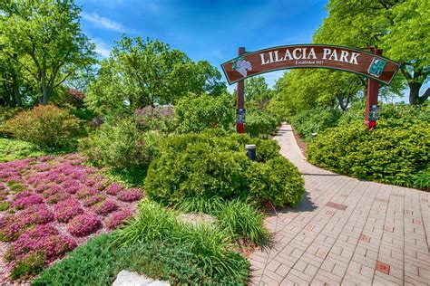 About - Lexington Square Lombard