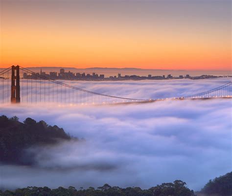 Golden Gate Fog Video Bing Wallpaper Download
