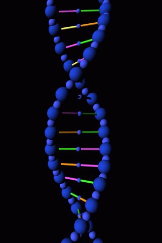 Creating one using a free gif maker is a fun and quick project that you can use for dozens of applications. Dna gif » GIF Images Download