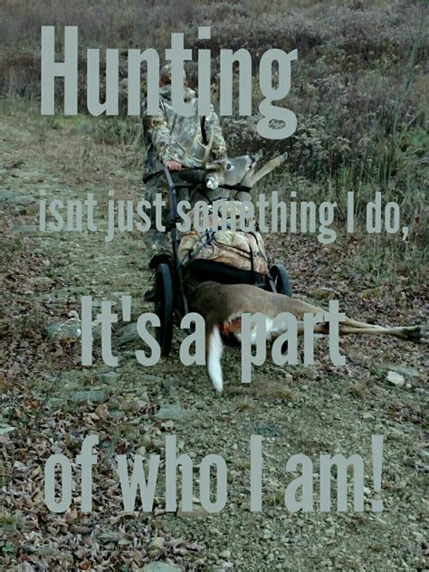 Hunting Quotes Funny Hunting Humor Elk Hunting Bow Hunter Quotes To