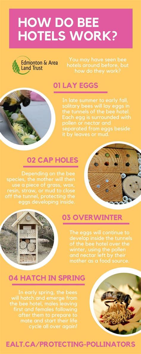 10 do jasmine plants help with anxiety? Garden Background Save The Bees and Your Garden! What is a ...
