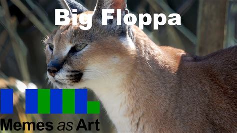 Big Floppa A Look At Caracal Memes Youtube
