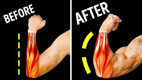 Only 14 Exercises You Need For Bigger Forearms Youtube