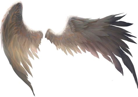 Wings Dark Freetoedit Sticker By Ellabrady03eb Wings Art Wings