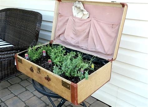 Transform Your Old Suitcase Old Suitcases Suitcase Garden Mosaic