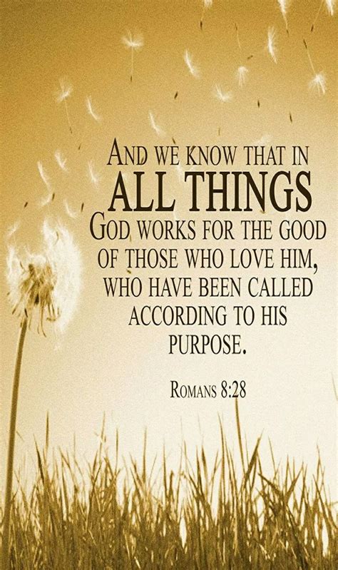 Romans 8 Bible Quotes