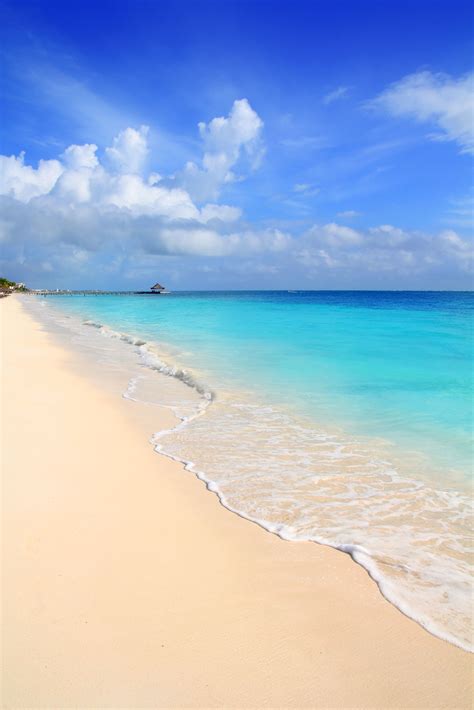 For the spiritually curious, there was even an astrologist for birth. New Year Yoga and Meditation Retreat Mexico Dec 28 - Jan 4 ...