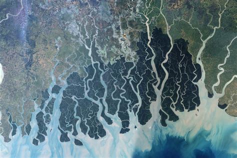 Download and use 90,000+ food stock photos for free. Sundarbans, Bangladesh : Image of the Day