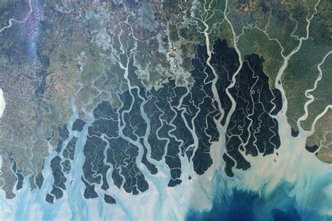 Listen to all songs in high quality & download bajrang dal chal devghar songs on gaana.com. Sundarbans, Bangladesh : Image of the Day