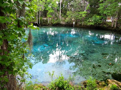 Crystal River Travel Guide 5 Cool Things To Do In Crystal River Florida