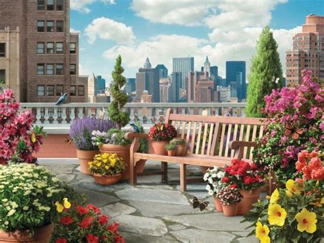 21 Beautiful Terrace Garden Images You Should Look For Inspiration