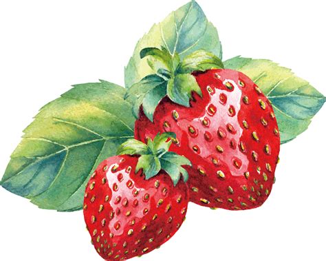 Watercolor Strawberry Png Image Png Mart