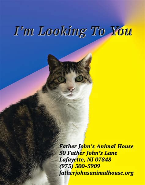 It has since spread to other websites as well as other days of the week. Elektratig: It's Caturday (Photoshop Edition)!