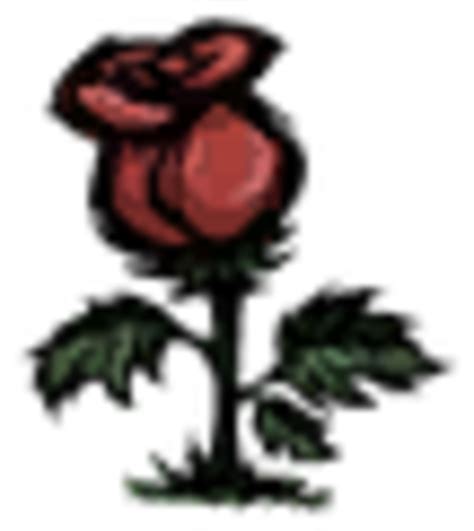 Hardermode rebalance is a deep rebalance project for don't starve together with the goal to create an improved player experience in a significantly harsher world.hardermode rebalance is currently on hiatus. Flower | Don't Starve game Wiki | FANDOM powered by Wikia